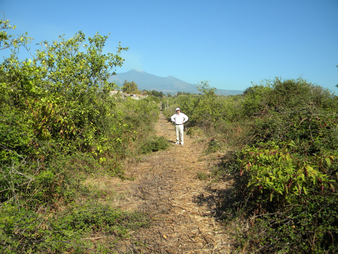 DSCN8155 .JPG